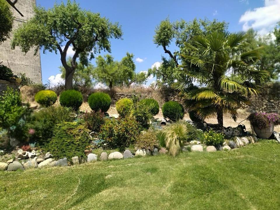Casa Dominica Guest House Граус Екстериор снимка
